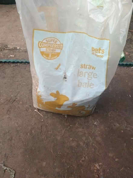 Photo of free Straw large pale (Morden SM4) #1