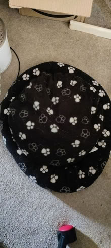 Photo of free cat bed (Iffley Road OX4) #1