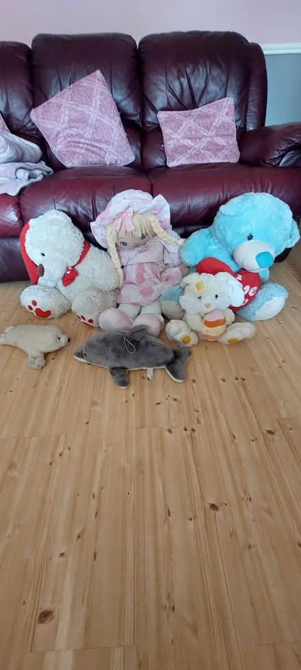 Photo of free Teddys (Dublin 9) #1