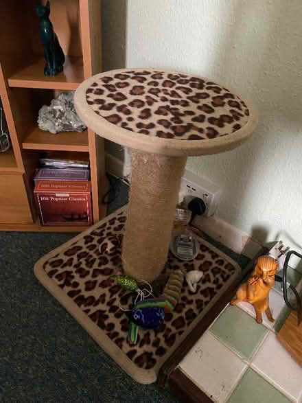 Photo of free Cat scratching post (Wokingham RG40) #1