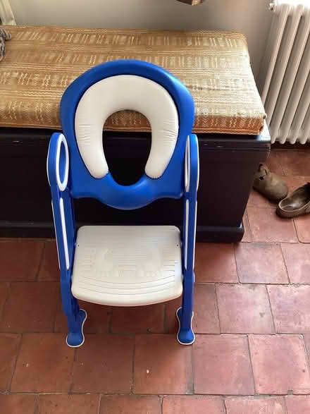 Photo of free Toilet training seat (Leintwardine) #1