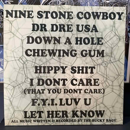 Photo of free Vinyl - Rock/ Indie/ Punk NEW (Near Tesco Wokingham) #4