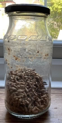 Photo of free Pond goldfish food (Wallands Park BN7) #1
