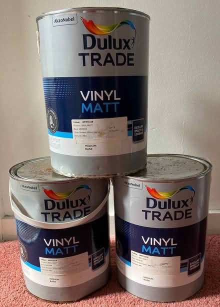Photo of free Paint (CT21) #2
