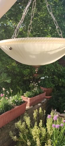 Photo of free Ceiling light shade (WD17) (Central Watford WD17) #4