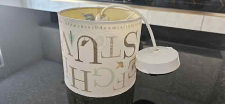 Photo of free Ceiling lamp shade (SL3) #1