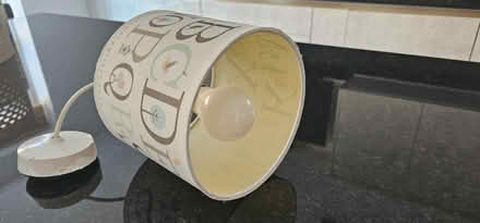 Photo of free Ceiling lamp shade (SL3) #2