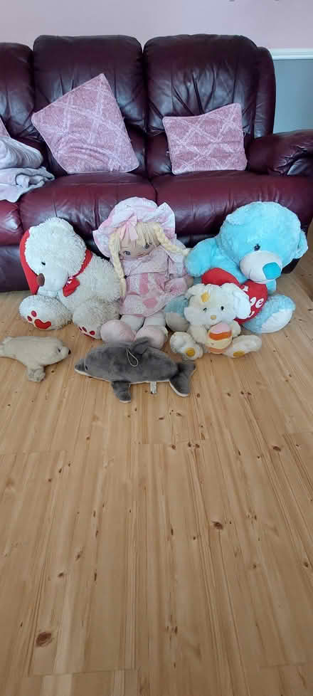 Photo of free Teddys (Dublin 9) #2