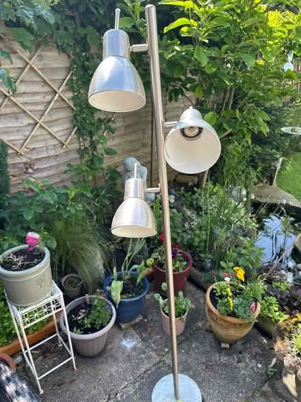 Photo of free Floor lamp (Henley On Thames RG10) #1