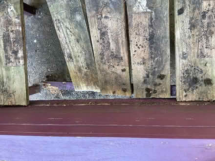Photo of free Wooden plant stands (Claughton CH43) #3
