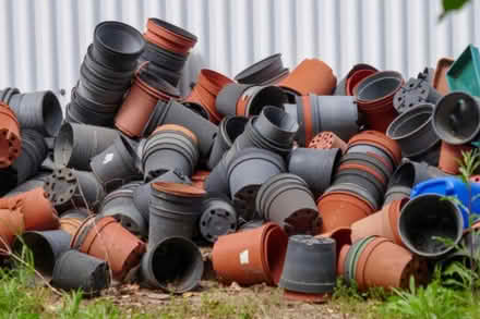 Photo of plastic plant pots (Newmarket) #2
