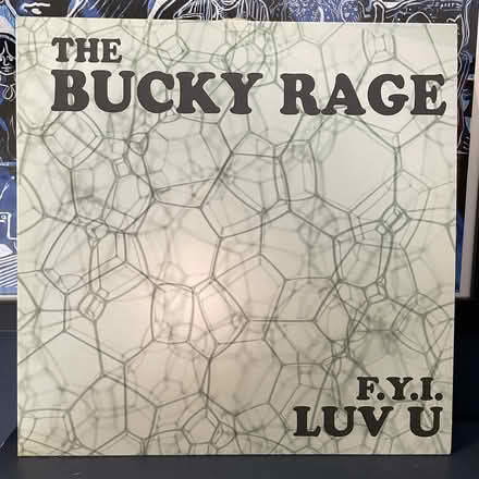 Photo of free Vinyl - Rock/ Indie/ Punk NEW (Near Tesco Wokingham) #3
