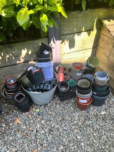 Photo of free Assorted plastic plant pots. (Llangunllo LD1) #1