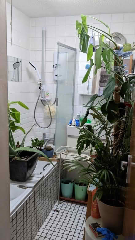 Photo of free Bath shower screen (E9) #1