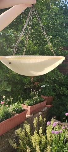 Photo of free Ceiling light shade (WD17) (Central Watford WD17) #1