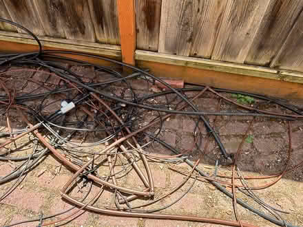 Photo of free Drip system tubing for irrigation (near De Anza College) #1
