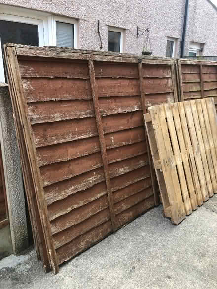 Photo of free Old fence panels (West End LA3) #1