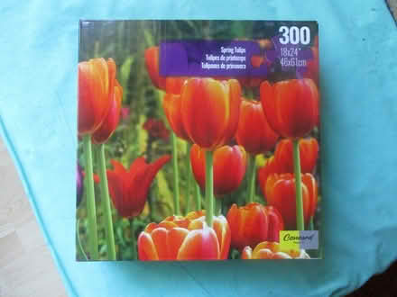 Photo of Puzzles wanted 300 pieces (Almonte (Dwyer Hill Area)) #1