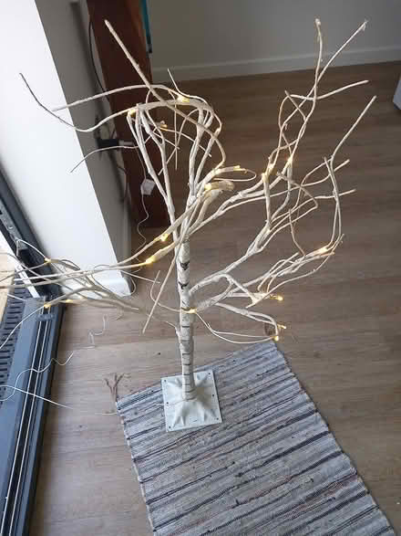 Photo of free Decorative tree with lights (Weston bath) #1