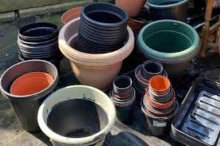 Photo of plastic plant pots (Newmarket) #1