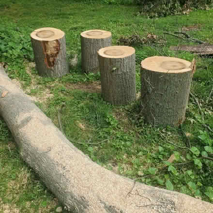 Photo of free Oak Firewood, ready to split (Spanish Lake 63138) #3