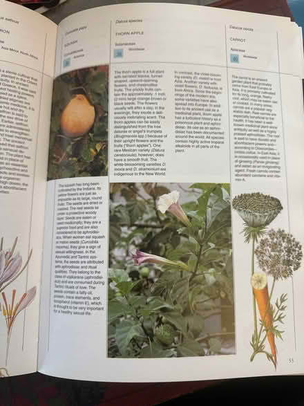 Photo of free Plants of Love Art Book (Upper Chichester, PA) #4