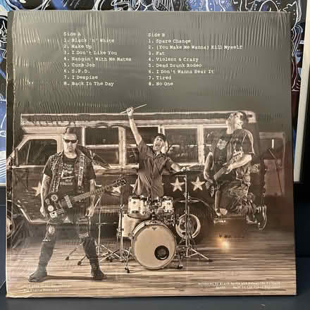 Photo of free Vinyl - Rock/ Indie/ Punk NEW (Near Tesco Wokingham) #2