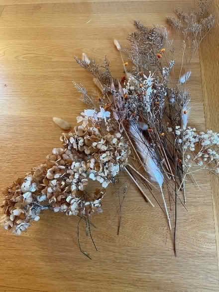 Photo of free Dried flowers (Ware SG12) #1