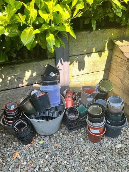 Photo of free Assorted plastic plant pots. (Llangunllo LD1) #2