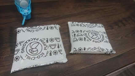 Photo of free Gel ice packs (Southend SS1) #1