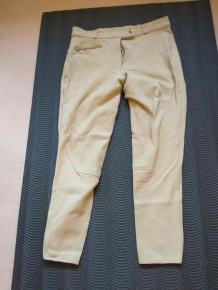 Photo of free Jodhpurs (North Hillingdon UB10) #1
