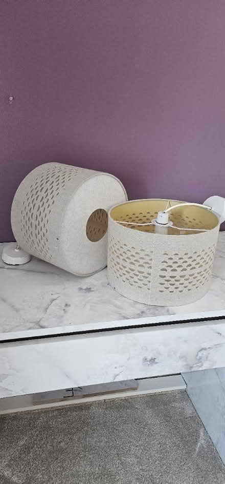 Photo of free Ceiling lamp shades - 2 (SL3) #1