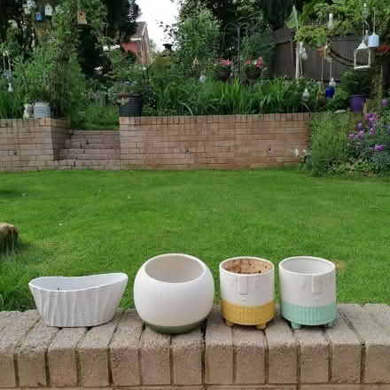 Photo of free Plant pots (Hollybush NP44) #1