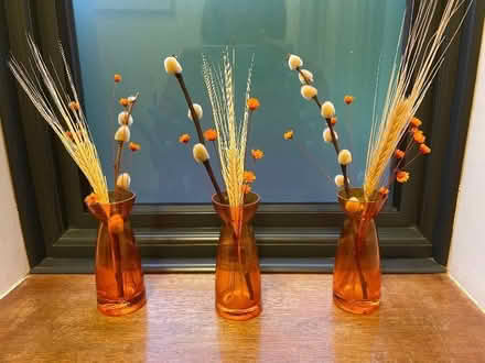 Photo of free Orange bud vases (Ware SG12) #1
