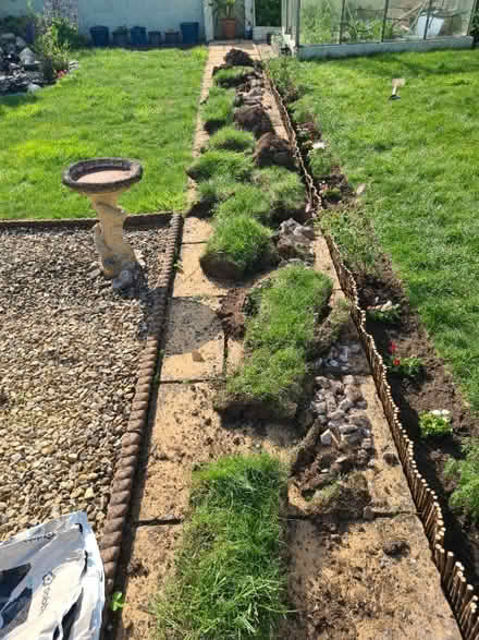 Photo of free Turf (Newport GL13) #2