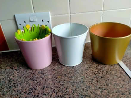 Photo of free indoor plant pots (Radford Semele CV31) #1