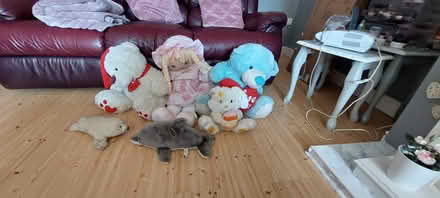 Photo of free Teddys (Dublin 9) #3