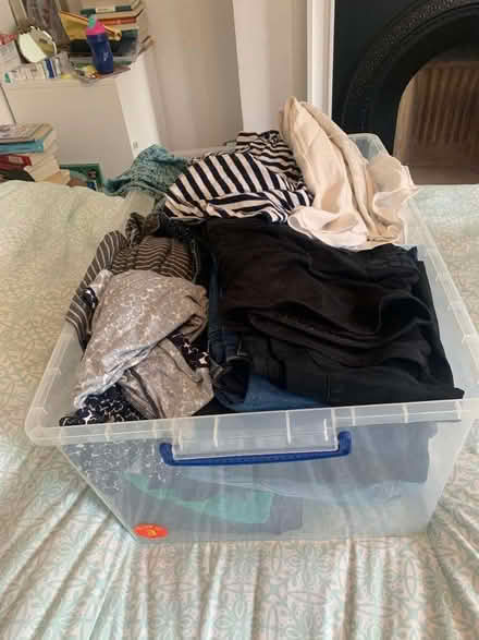 Photo of free 16-18 maternity and breastfeeding clothes (West Norwood SE27) #1
