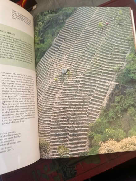 Photo of free Plants of Love Art Book (Upper Chichester, PA) #3
