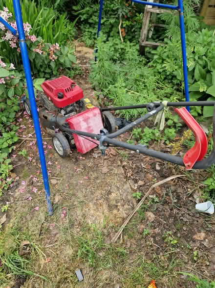 Photo of free Lawn mower (Whalley range M16) #1