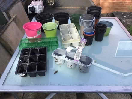 Photo of free Assortment of plastic plant pots (Hempstalls ST5) #1
