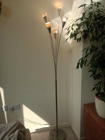 Photo of free Five bulb standing lamp, working. (Radbrook Green SY3) #1