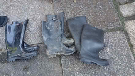 Photo of free Size 6 wellies (M21) #1
