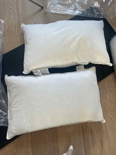 Photo of free 2 feather down pillows (Bayswater, W2) #1