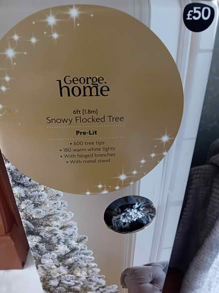 Photo of free Christmas tree (bolton BL5) #1