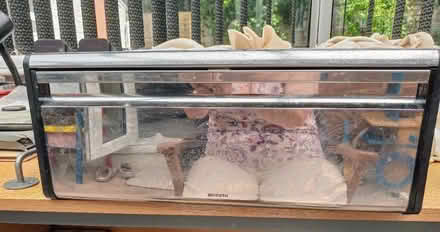 Photo of free Bread bin (Segensworth East PO15) #1