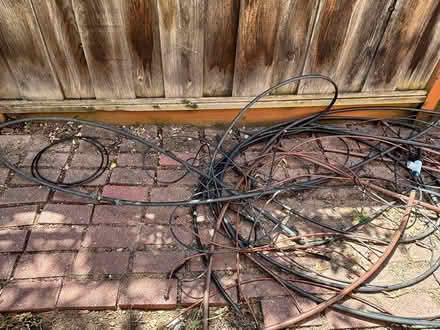 Photo of free Drip system tubing for irrigation (near De Anza College) #2