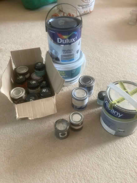 Photo of free Paint (CT21) #1