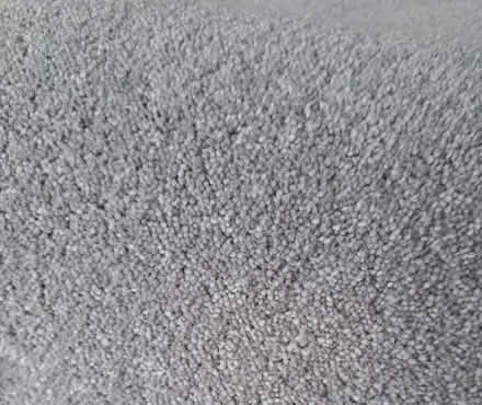 Photo of free Carpet (TN24) #2