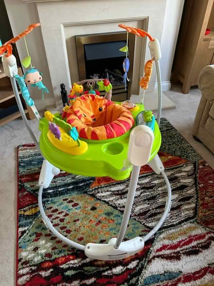 Photo of free Infants jumperoo (Cheltenham, GL52) #1